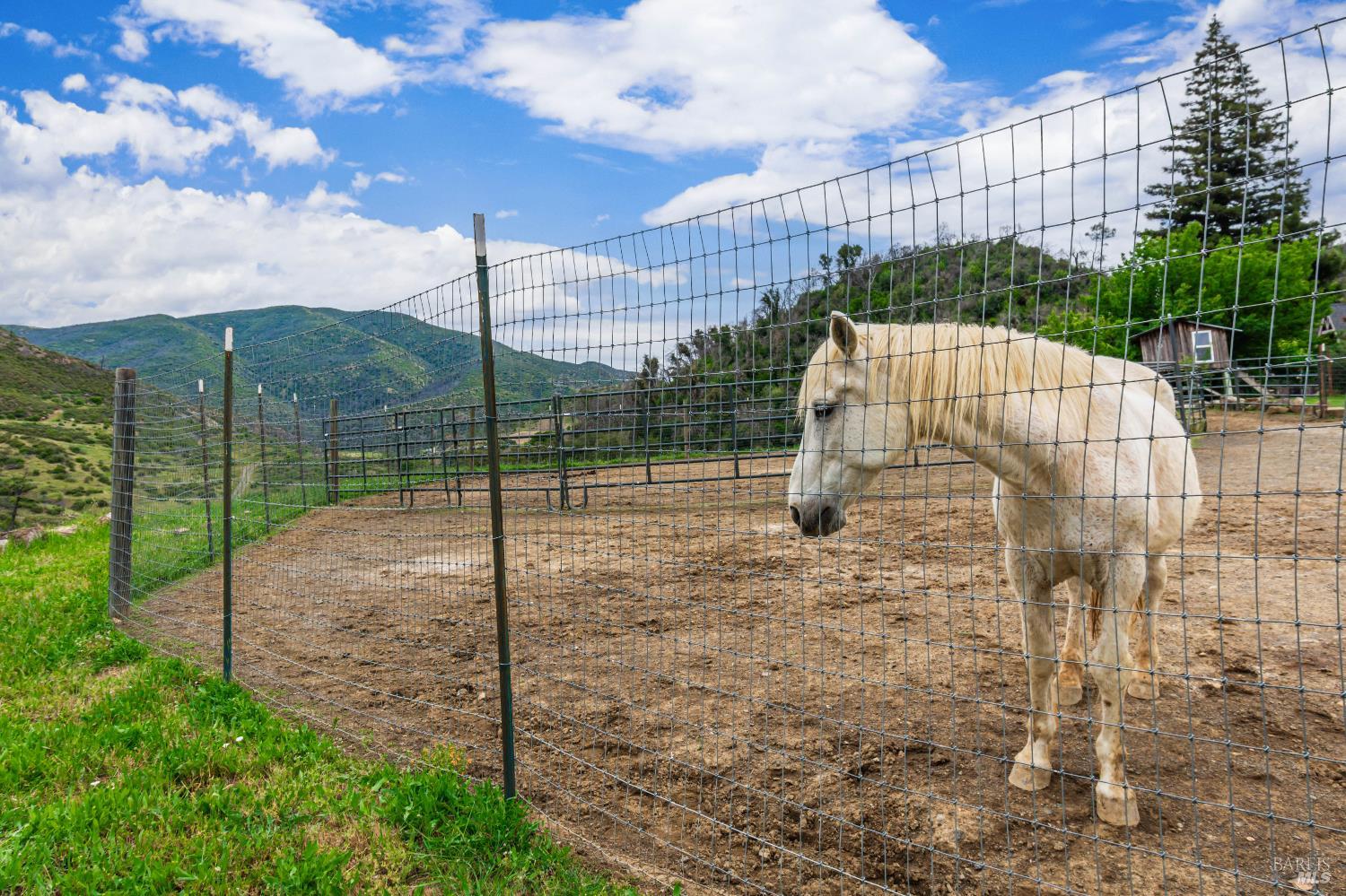3955 E Highway 128 Highway St. Helena CA 94574