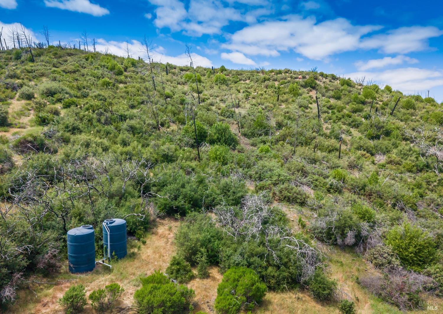 3955 E Highway 128 Highway St. Helena CA 94574