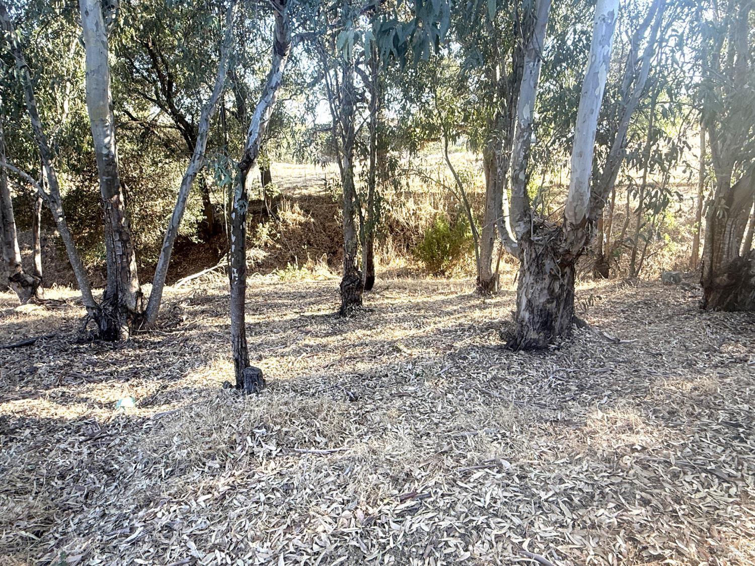 3966 Rustic Lane Vacaville CA 95688