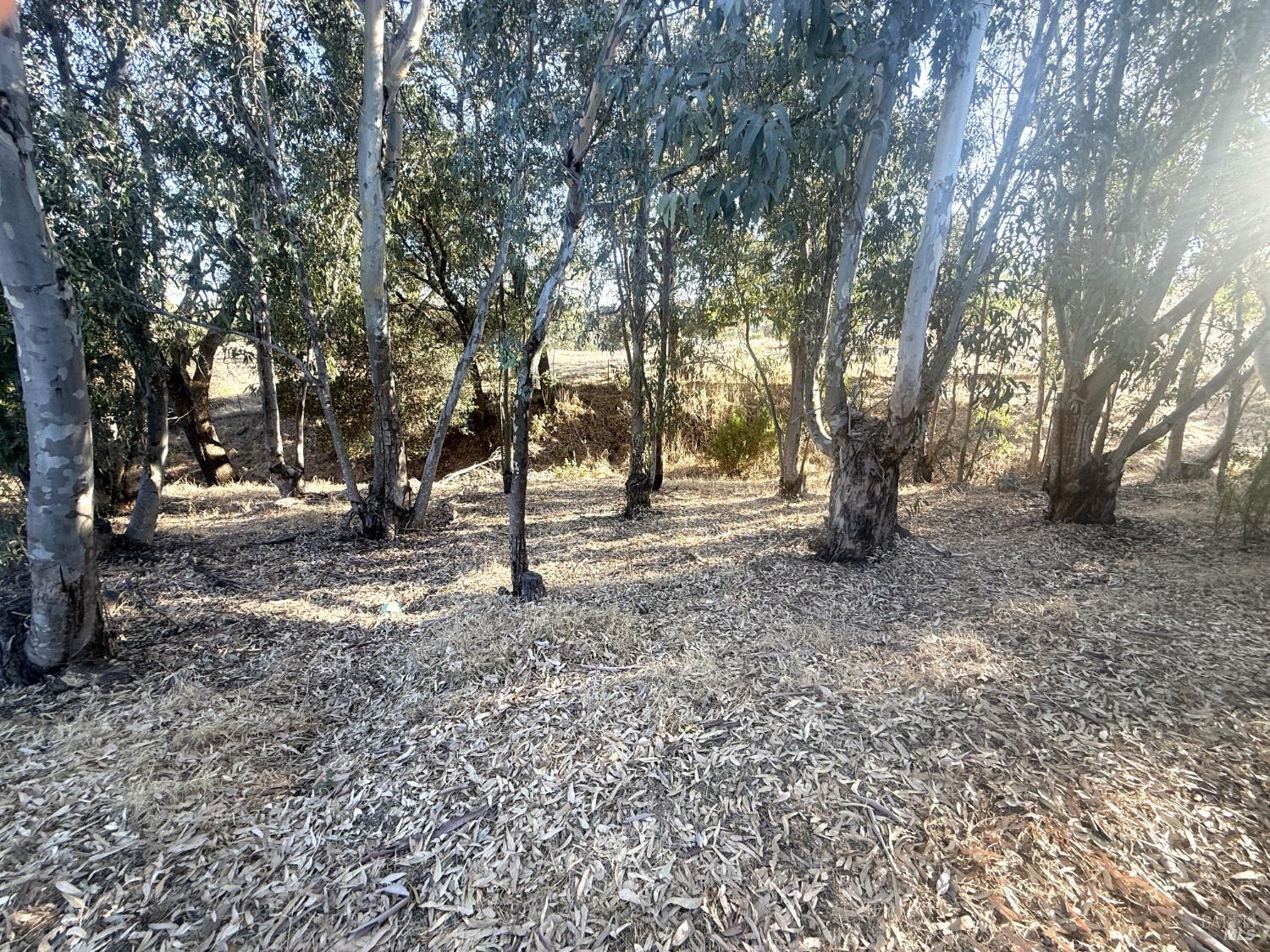3966 Rustic Lane Vacaville CA 95688