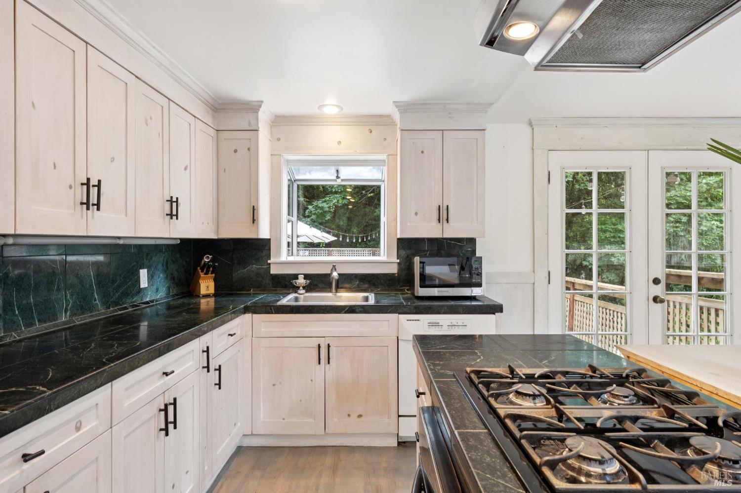 21481 Monte Vista Terrace Monte Rio CA 95462