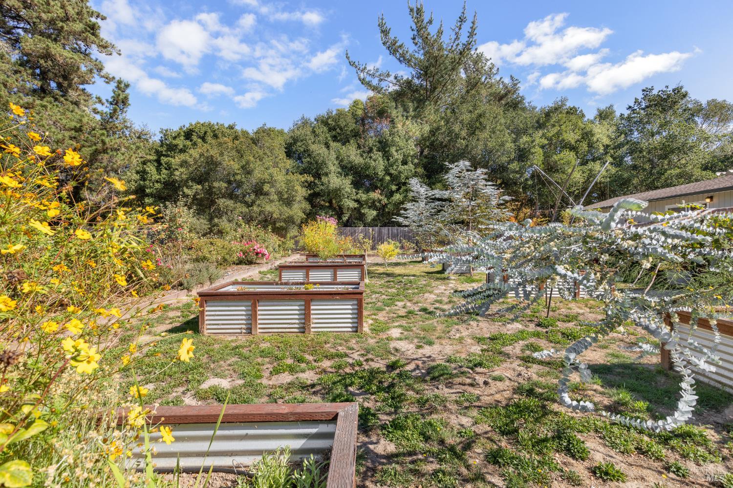 8207 Candy Apple Lane Sebastopol CA 95472