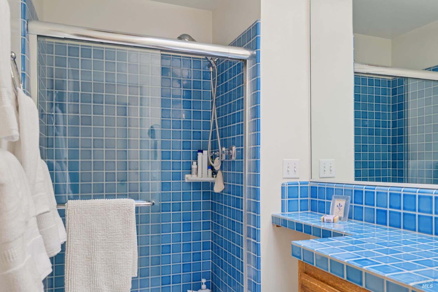 710 Arlington Circle Novato CA 94947