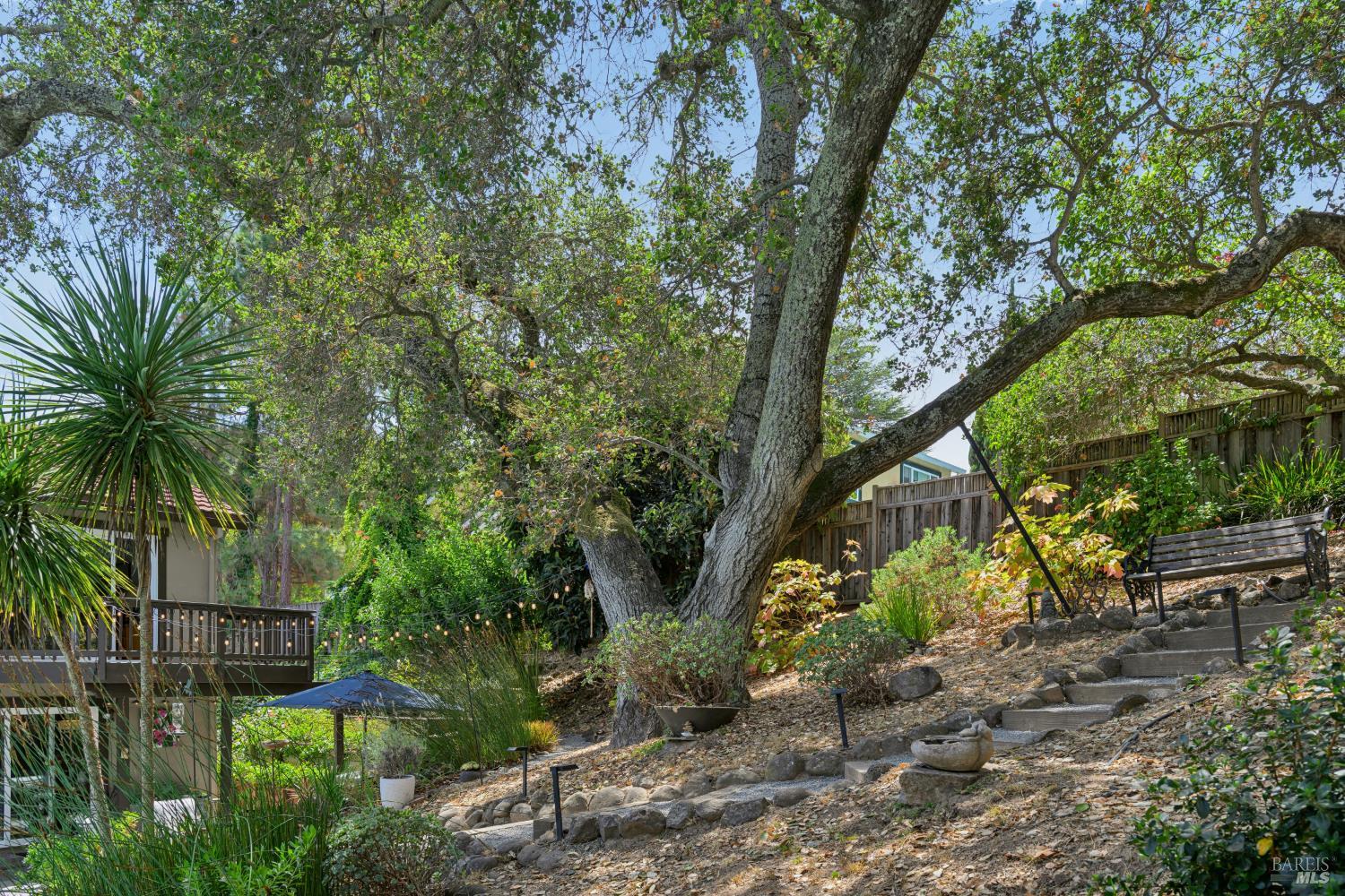 710 Arlington Circle Novato CA 94947