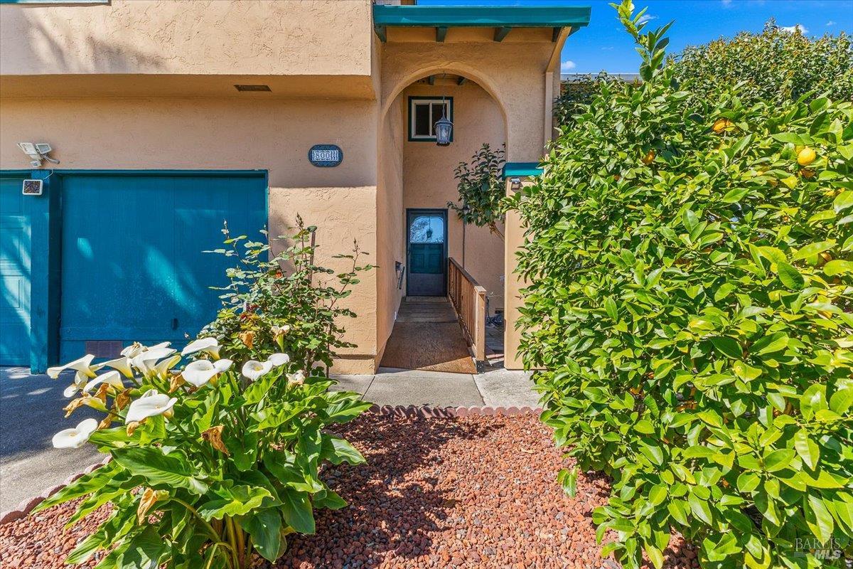 800 Mckillop Court Petaluma CA 94954
