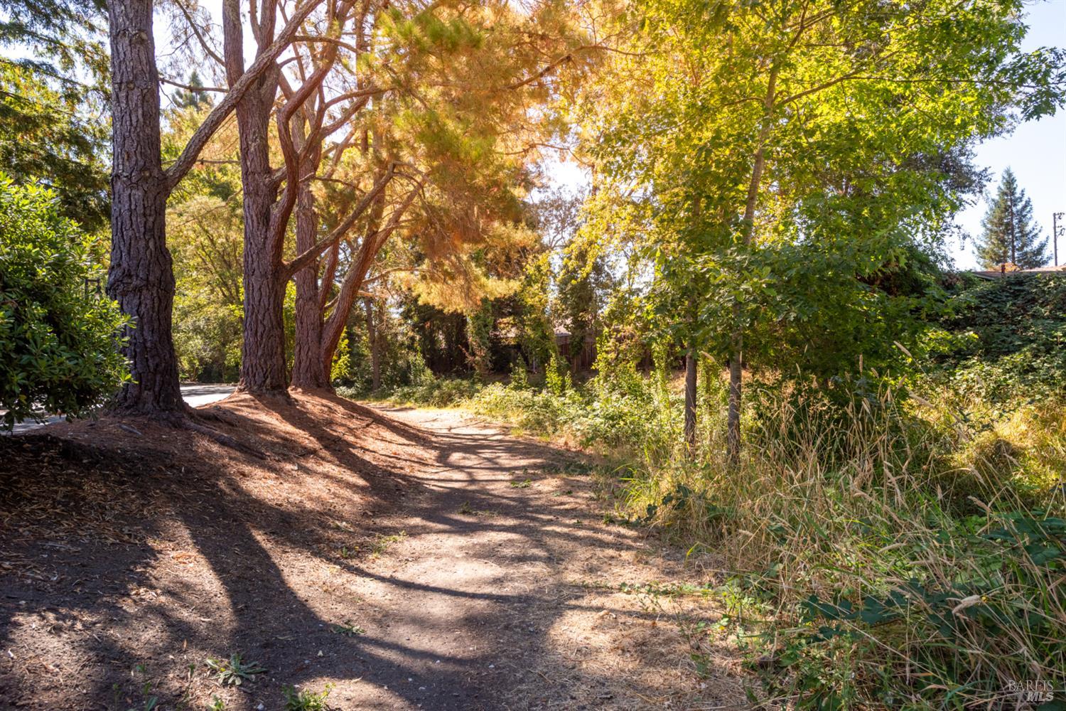 1756 Arroyo Sierra Avenue Santa Rosa CA 95405