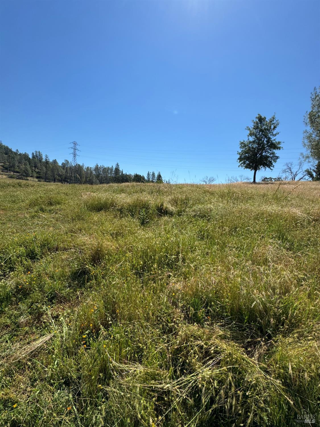 12955 Bottle Rock Road Kelseyville CA 95451