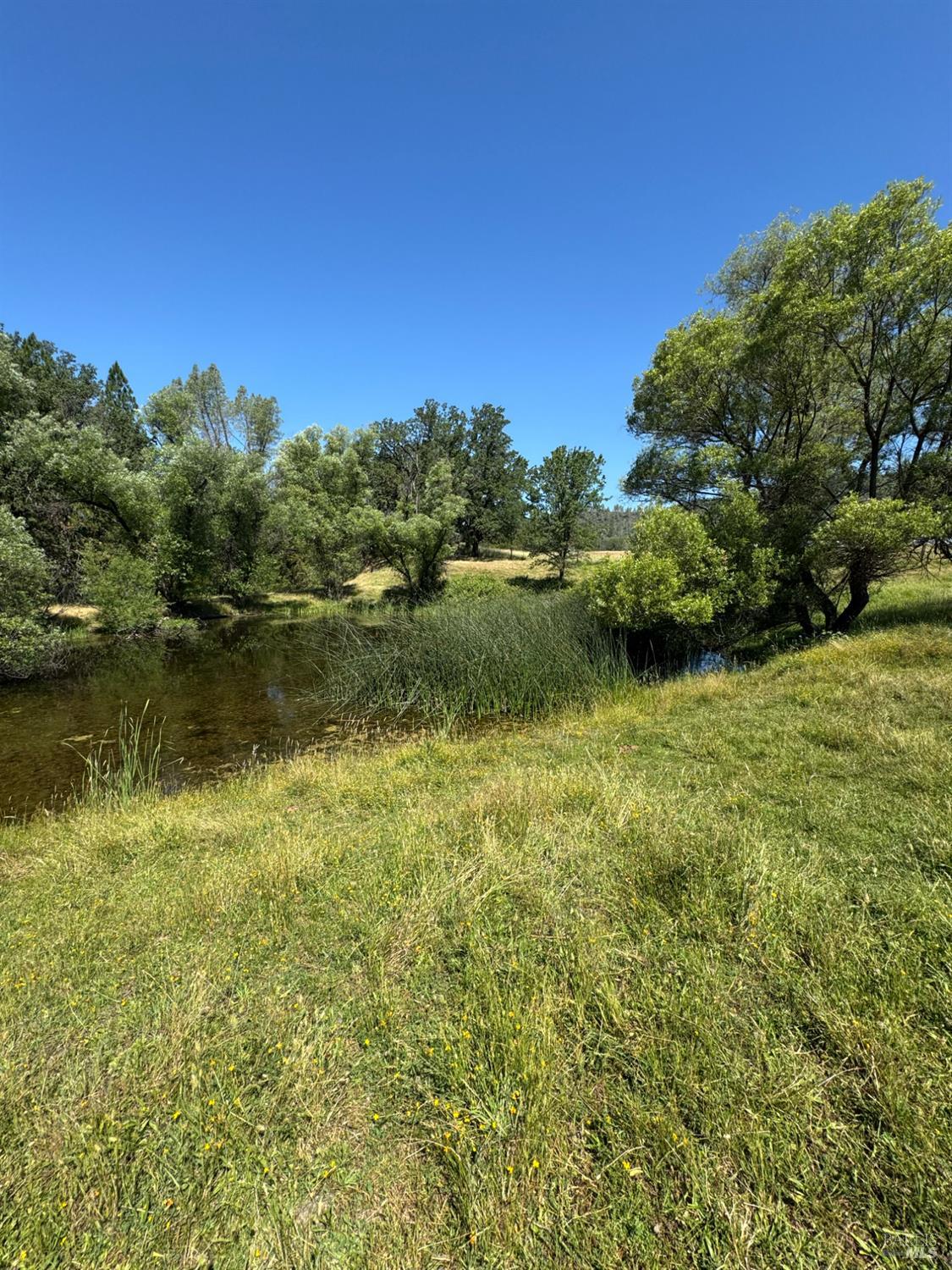 12955 Bottle Rock Road Kelseyville CA 95451