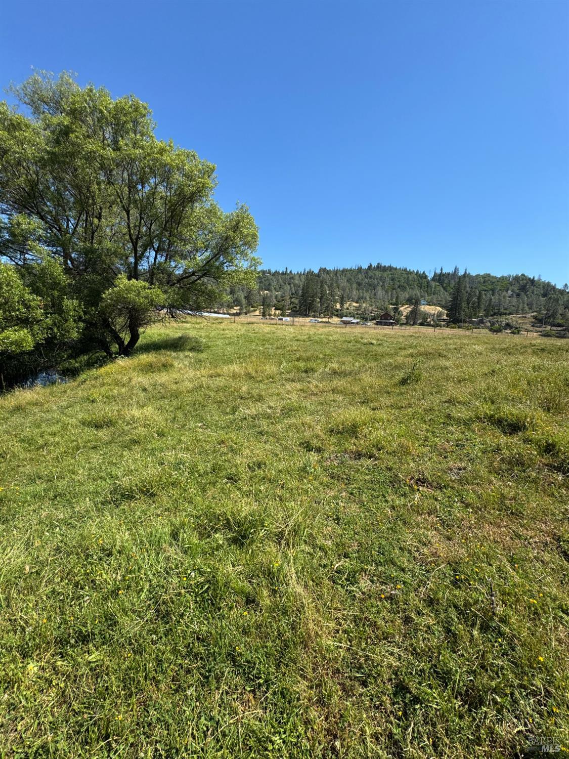 12955 Bottle Rock Road Kelseyville CA 95451