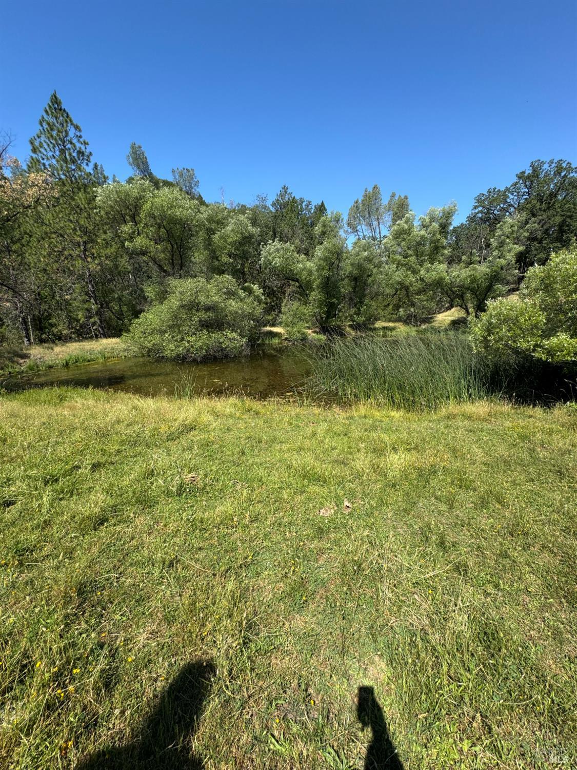 12955 Bottle Rock Road Kelseyville CA 95451