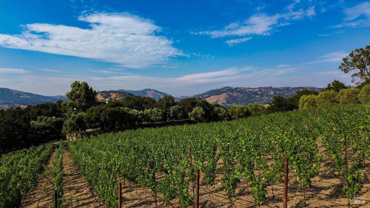 40 Long Ranch Road St. Helena CA 94574