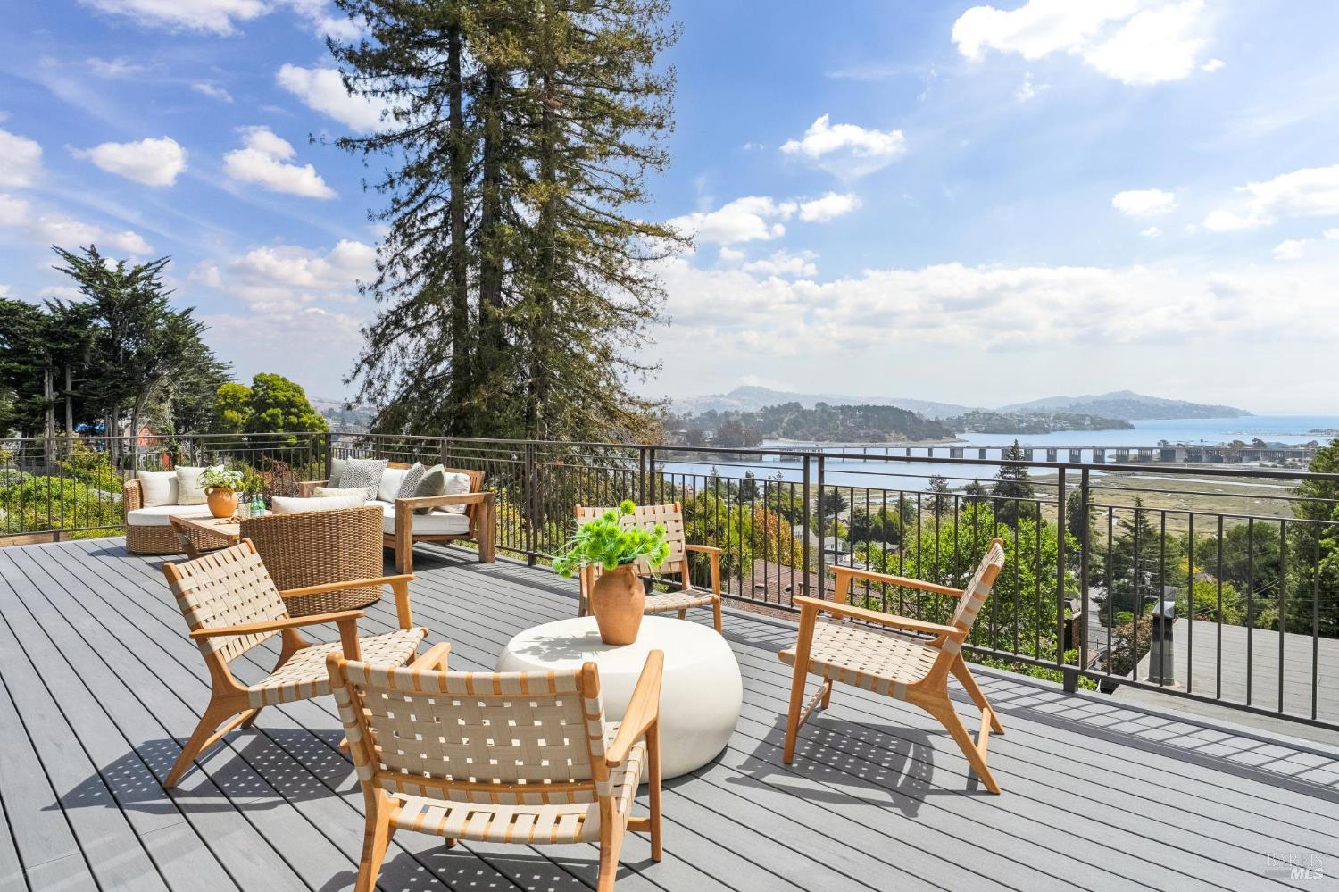 217 Cleveland Avenue Mill Valley CA 94941