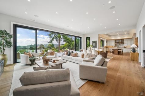 217 Cleveland Avenue Mill Valley CA 94941