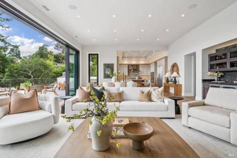 217 Cleveland Avenue Mill Valley CA 94941