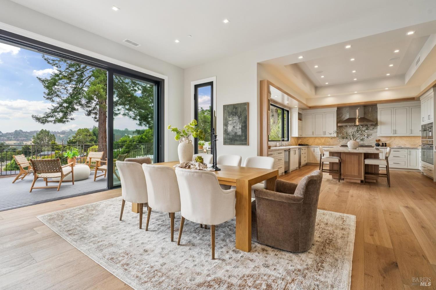 217 Cleveland Avenue Mill Valley CA 94941