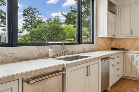 217 Cleveland Avenue Mill Valley CA 94941