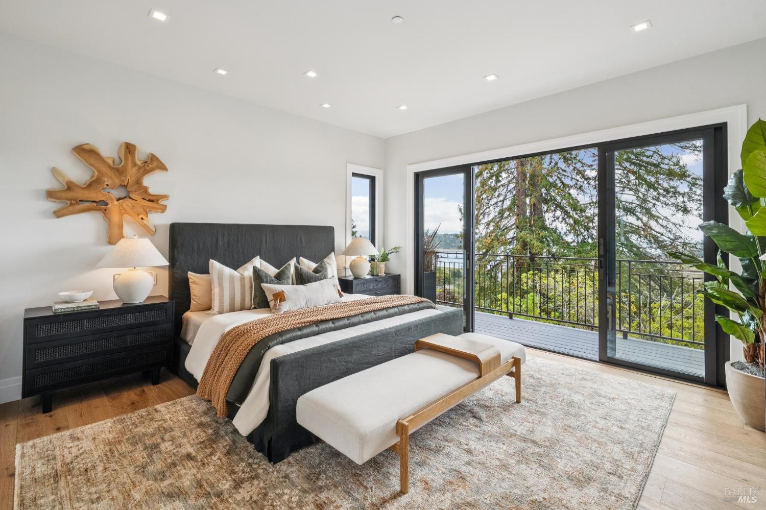 217 Cleveland Avenue Mill Valley CA 94941