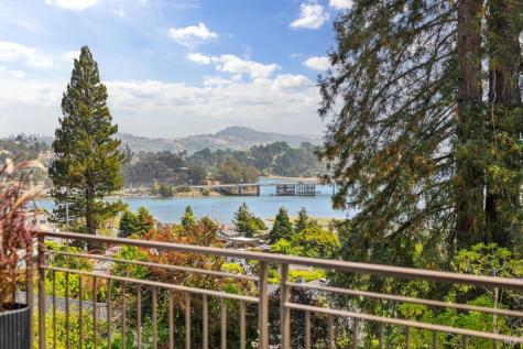 217 Cleveland Avenue Mill Valley CA 94941