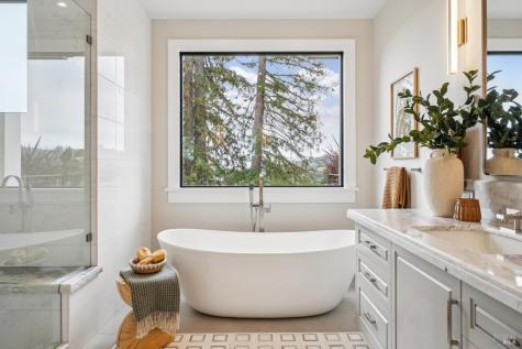 217 Cleveland Avenue Mill Valley CA 94941