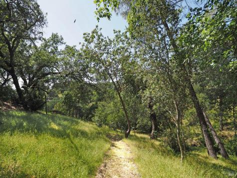 1575 Fox Ridge Road Geyserville CA 95441