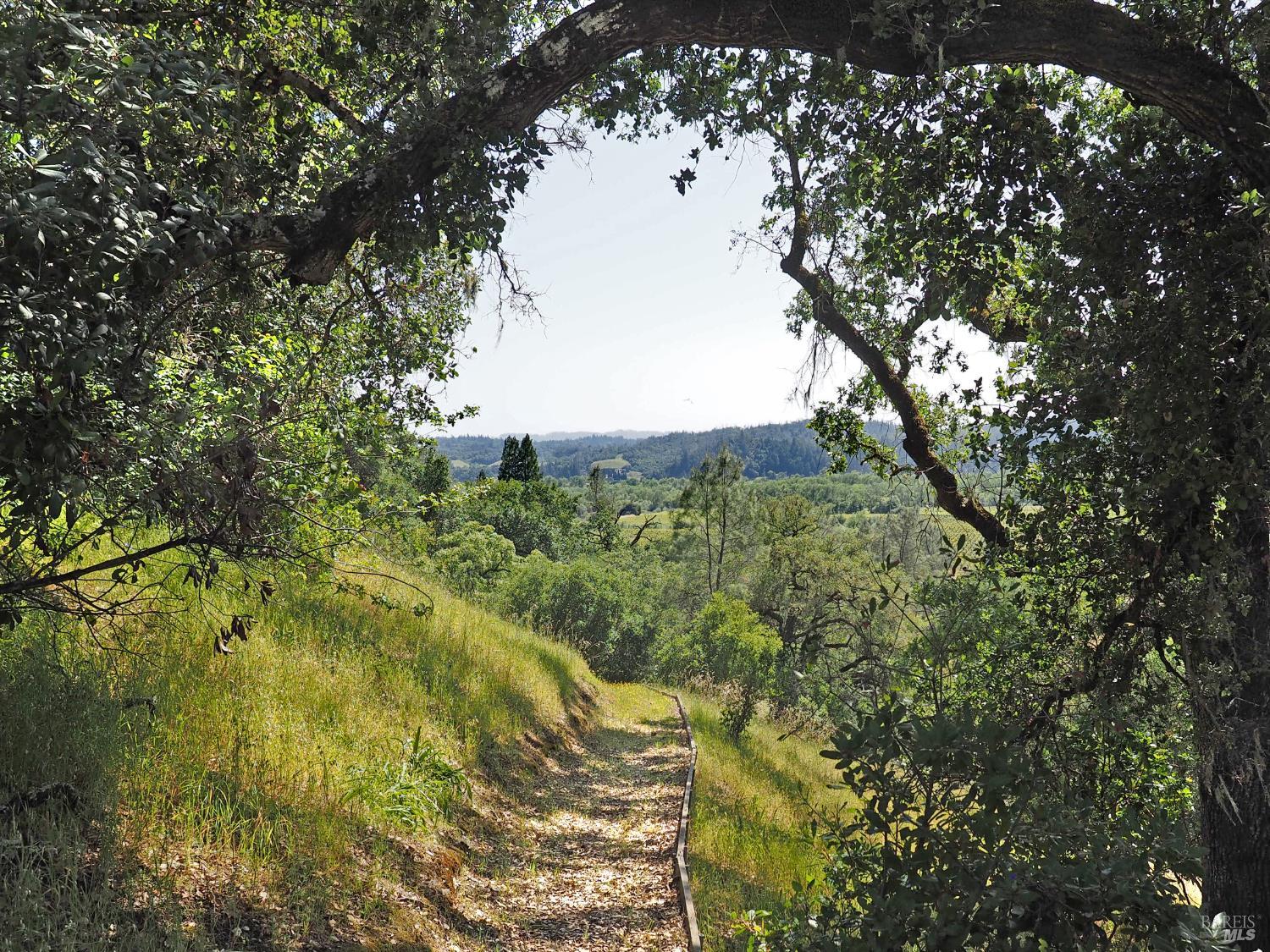 1575 Fox Ridge Road Geyserville CA 95441