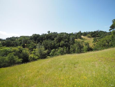 1575 Fox Ridge Road Geyserville CA 95441