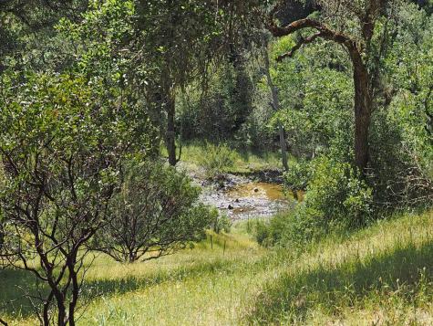 1575 Fox Ridge Road Geyserville CA 95441