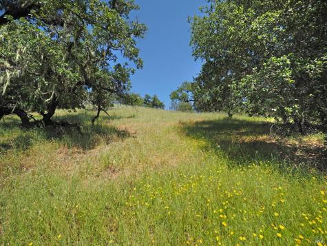 1575 Fox Ridge Road Geyserville CA 95441