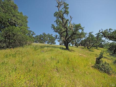 1575 Fox Ridge Road Geyserville CA 95441