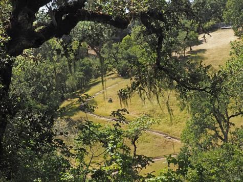 1575 Fox Ridge Road Geyserville CA 95441