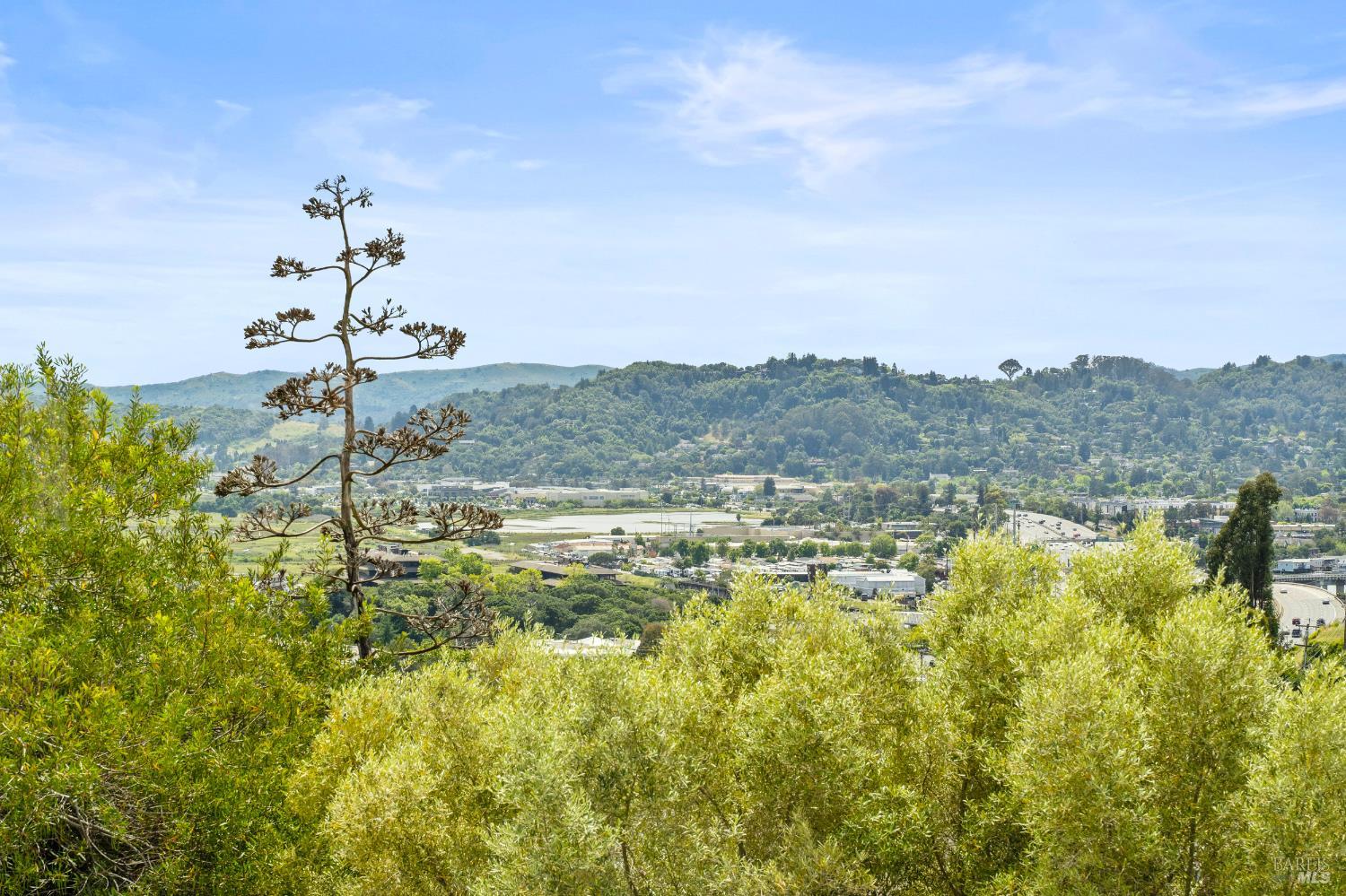 359 Via La Cumbre Street Greenbrae CA 94904