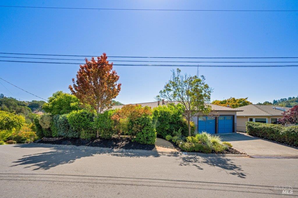 179 Hilldale Drive San Anselmo CA 94960