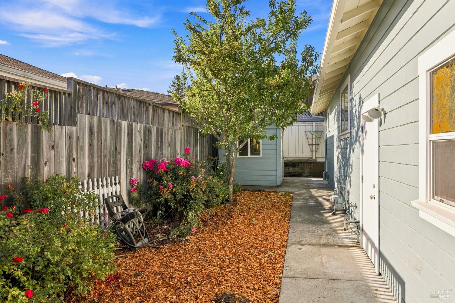 956 Phillips Avenue Petaluma CA 94952