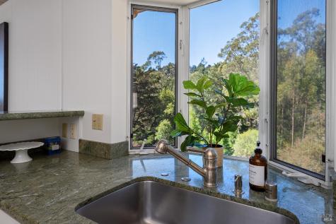 646 Ridgewood Avenue Mill Valley CA 94941