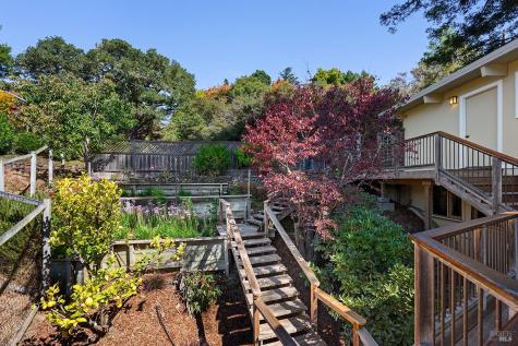 646 Ridgewood Avenue Mill Valley CA 94941
