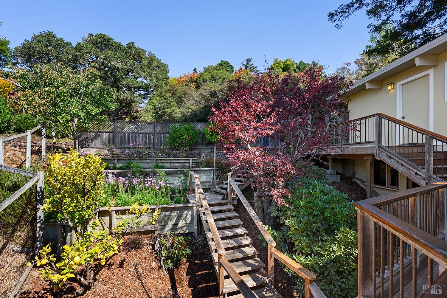 646 Ridgewood Avenue Mill Valley CA 94941