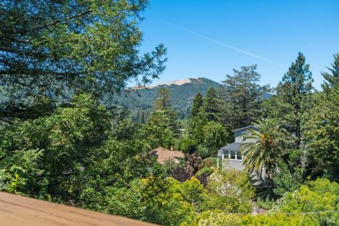 225 Foster Avenue Kentfield CA 94904