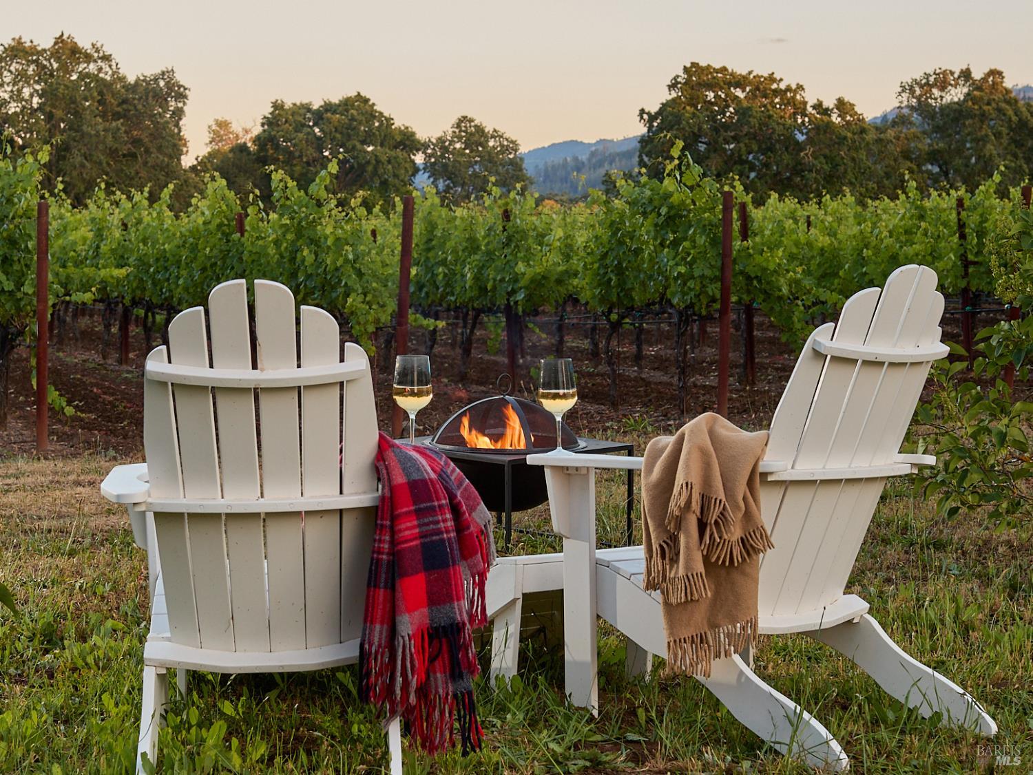 1015 Bale Lane Calistoga CA 94515