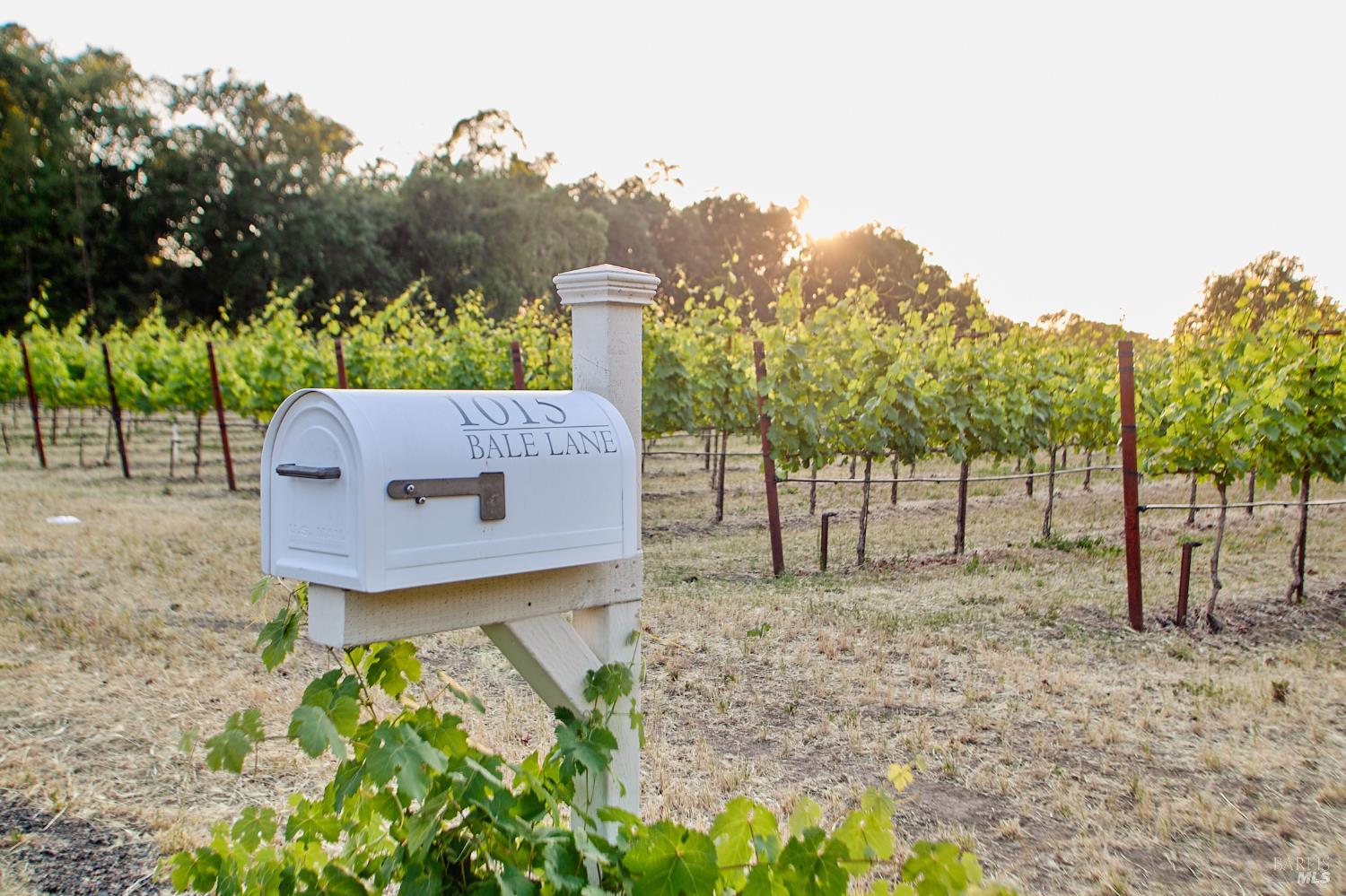 1015 Bale Lane Calistoga CA 94515