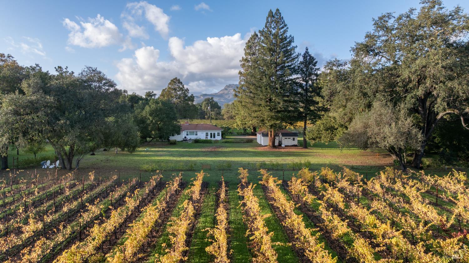 1015 Bale Lane Calistoga CA 94515