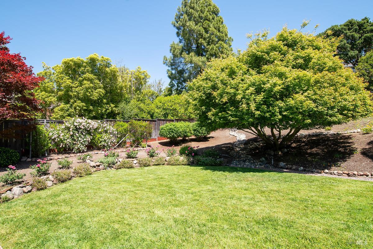 408 San Andreas Drive Novato CA 94945