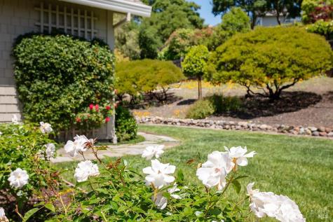 408 San Andreas Drive Novato CA 94945
