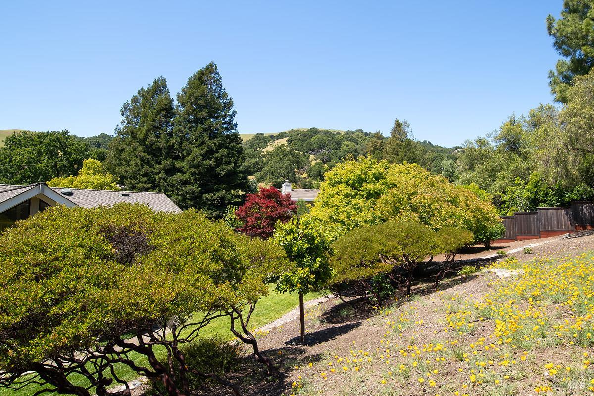 408 San Andreas Drive Novato CA 94945