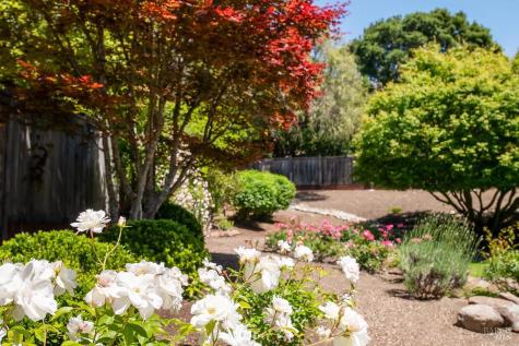 408 San Andreas Drive Novato CA 94945