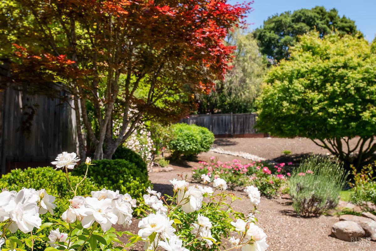 408 San Andreas Drive Novato CA 94945
