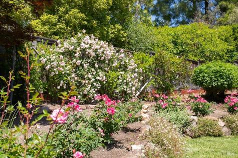 408 San Andreas Drive Novato CA 94945