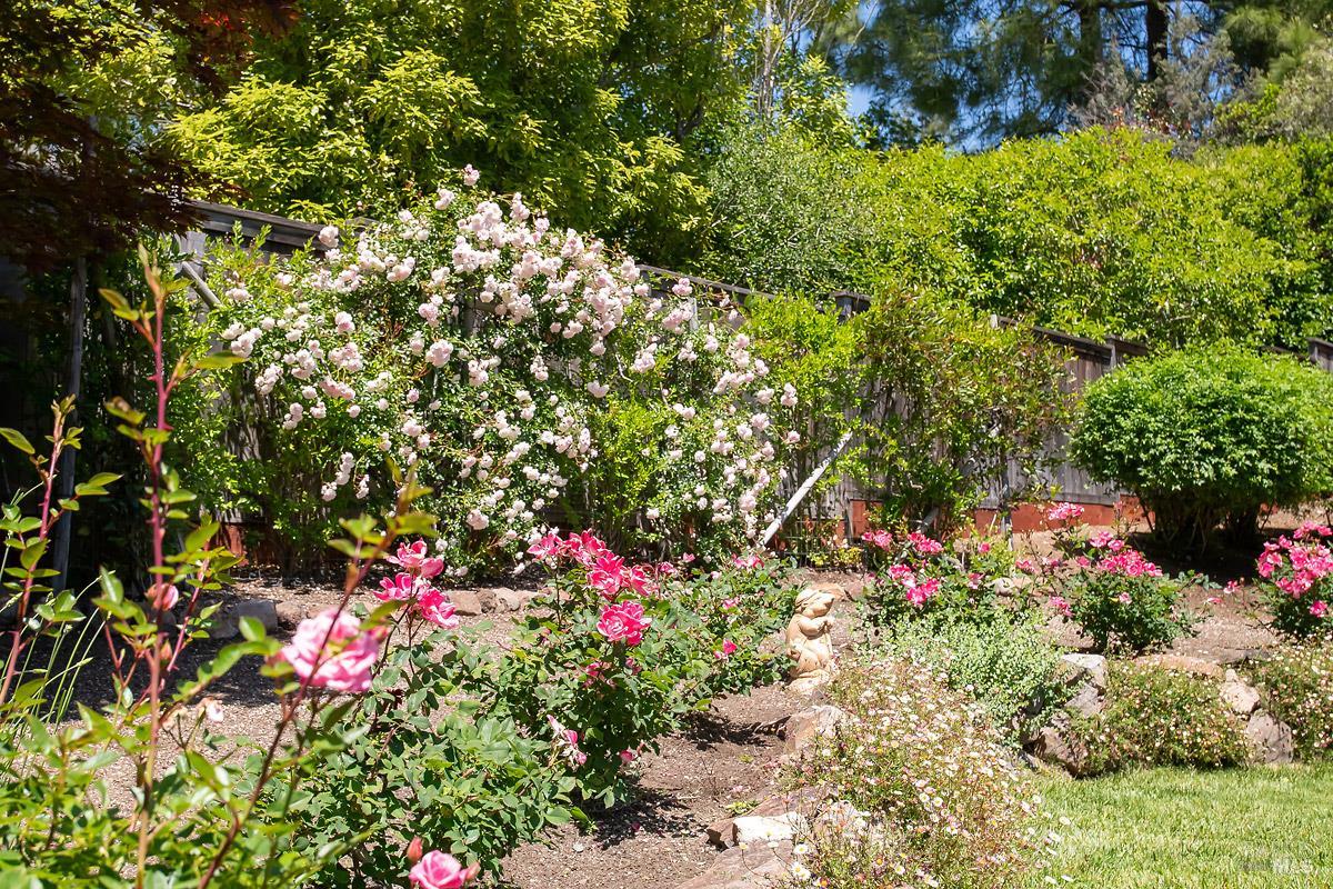 408 San Andreas Drive Novato CA 94945