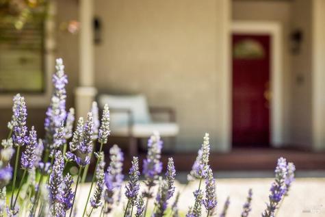 408 San Andreas Drive Novato CA 94945