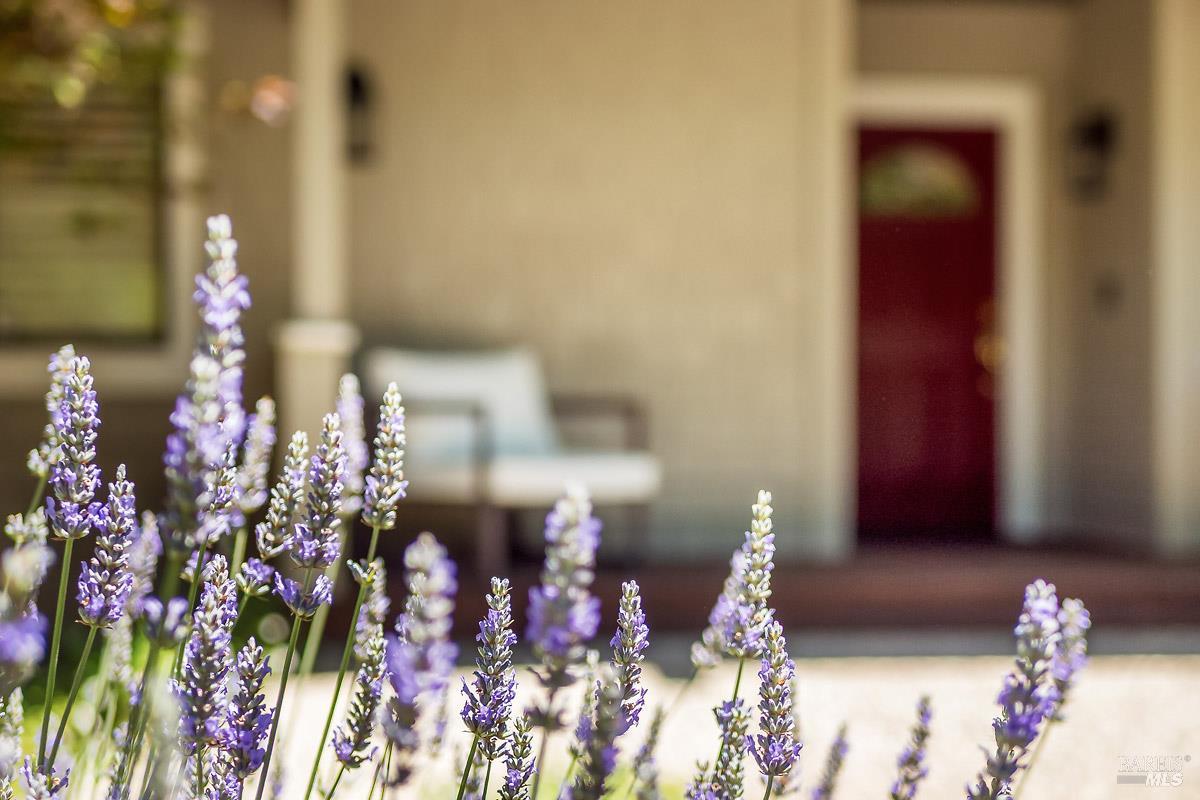 408 San Andreas Drive Novato CA 94945