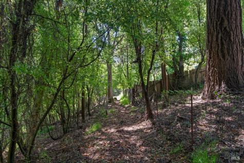 90 Laurel View Way Inverness CA 94937